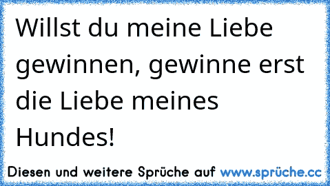 Willst du meine Liebe gewinnen, gewinne erst die Liebe meines Hundes!