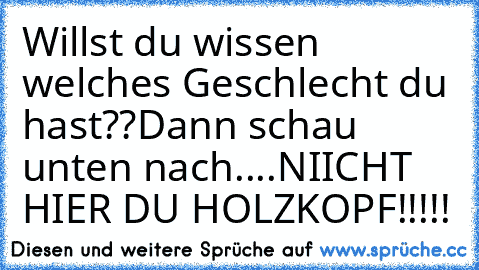 Willst du wissen welches Geschlecht du hast??
Dann schau unten nach....
NIICHT HIER DU HOLZKOPF!!!!!