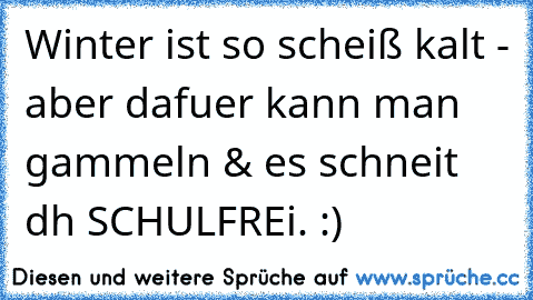 Winter ist so scheiß kalt - aber dafuer kann man gammeln & es schneit dh SCHULFREi. :)