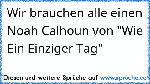 Wir brauchen alle einen Noah Calhoun von "Wie Ein Einziger Tag"  ღ ღ ღ ღ