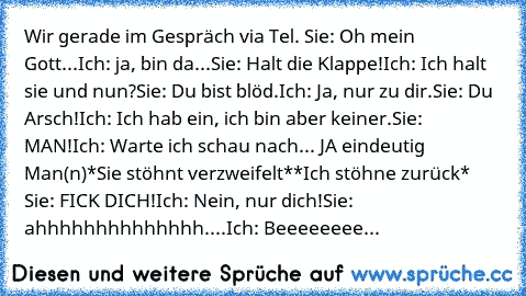 Wir gerade im Gespräch via Tel. 
Sie: Oh mein Gott...
Ich: ja, bin da...
Sie: Halt die Klappe!
Ich: Ich halt sie und nun?
Sie: Du bist blöd.
Ich: Ja, nur zu dir.
Sie: Du Arsch!
Ich: Ich hab ein, ich bin aber keiner.
Sie: MAN!
Ich: Warte ich schau nach... JA eindeutig Man(n)
*Sie stöhnt verzweifelt*
*Ich stöhne zurück* 
Sie: FICK DICH!
Ich: Nein, nur dich!
Sie: ahhhhhhhhhhhhhh....
Ich: Beeeeeeeeeee...