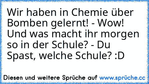 Wir haben in Chemie über Bomben gelernt! - Wow! Und was macht ihr morgen so in der Schule? - Du Spast, welche Schule? :D