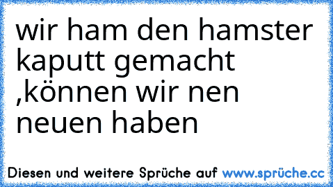 wir ham den hamster kaputt gemacht ,können wir nen neuen haben