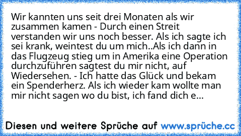 Wir kannten uns seit drei Monaten als wir zusammen kamen - Durch einen Streit verstanden wir uns noch besser. Als ich sagte ich sei krank, weintest du um mich..
Als ich dann in das Flugzeug stieg um in Amerika eine Operation durchzuführen sagtest du mir nicht, auf Wiedersehen. - Ich hatte das Glück und bekam ein Spenderherz. Als ich wieder kam wollte man mir nicht sagen wo du bist, ich fand dic...