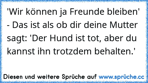 'Wir können ja Freunde bleiben' - Das ist als ob dir deine Mutter sagt: 'Der Hund ist tot, aber du kannst ihn trotzdem behalten.'