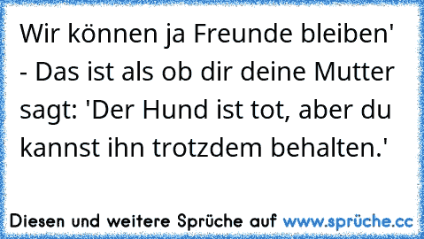 Wir können ja Freunde bleiben' - Das ist als ob dir deine Mutter sagt: 'Der Hund ist tot, aber du kannst ihn trotzdem behalten.'