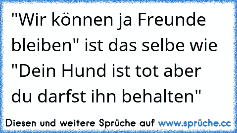 "Wir können ja Freunde bleiben" ist das selbe wie "Dein Hund ist tot aber du darfst ihn behalten"