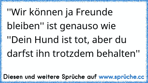 ''Wir können ja Freunde bleiben'' ist genauso wie ''Dein Hund ist tot, aber du darfst ihn trotzdem behalten''