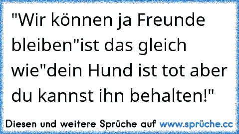 "Wir können ja Freunde bleiben"
ist das gleich wie
"dein Hund ist tot aber du kannst ihn behalten!"