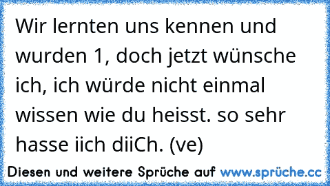 Wir lernten uns kennen und wurden 1, doch jetzt wünsche ich, ich würde nicht einmal wissen wie du heisst. so sehr hasse iich diiCh. (ve)