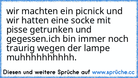 wir machten ein picnick und wir hatten eine socke mit pisse getrunken und gegessen.ich bin immer noch traurig wegen der lampe muhhhhhhhhhh.