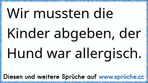 Wir mussten die Kinder abgeben, der Hund war allergisch.