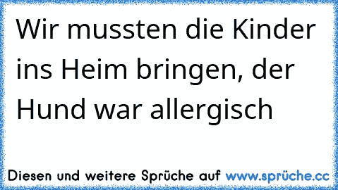 Wir mussten die Kinder ins Heim bringen, der Hund war allergisch