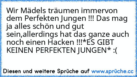 Wir Mädels träumen immer
von dem Perfekten Jungen !!! ♥
Das mag ja alles schön und gut sein,
allerdings hat das ganze auch noch einen Hacken !!!
*ES GIBT KEINEN PERFEKTEN JUNGEN* :( ♥ ♥