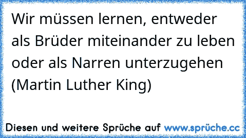 Wir müssen lernen, entweder als Brüder miteinander zu leben oder als Narren unterzugehen (Martin Luther King)