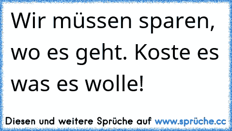 Wir müssen sparen, wo es geht. Koste es was es wolle!