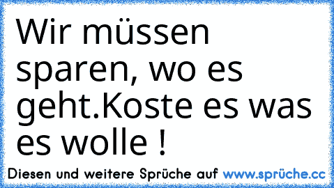 Wir müssen sparen, wo es geht.
Koste es was es wolle !