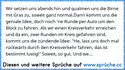 Wir setzen uns abends hin und qualmen uns die Birne mit Gras zu, soweit ganz normal.
Dann kommt uns die geniale Idee, doch noch 'ne Runde per Auto um den Block zu fahren. Als wir einen Kreisverkehr erreichen und da ein, zwei Runden im Kreis gefahren sind, kommt uns die zündende Idee: "He, lass uns doch mal rückwärts durch den Kreisverkehr fahren, das ist bestimmt lustig!" Soweit, so gut. Und we...