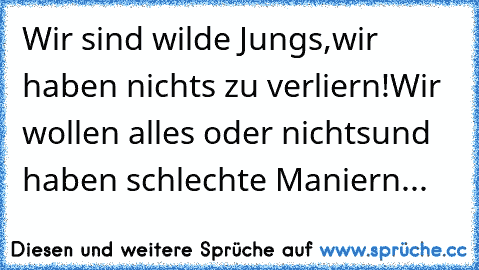 Wir sind wilde Jungs,
wir haben nichts zu verliern!
Wir wollen alles oder nichts
und haben schlechte Maniern...