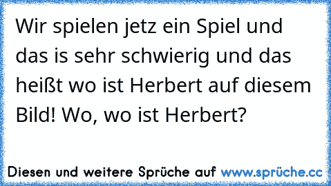 Wir spielen jetz ein Spiel und das is sehr schwierig und das heißt wo ist Herbert auf diesem Bild! Wo, wo ist Herbert?