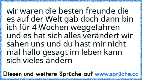 wir waren die besten freunde die es auf der Welt gab doch dann bin ich für 4 Wochen weggefahren und es hat sich alles verändert wir sahen uns und du hast mir nicht mal hallo gesagt im leben kann sich vieles ändern