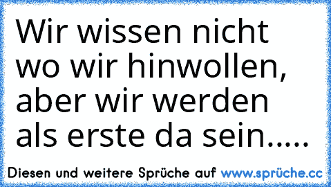 Wir wissen nicht wo wir hinwollen, aber wir werden als erste da sein.....