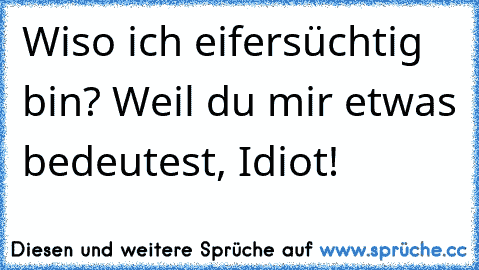 Wiso ich eifersüchtig bin? Weil du mir etwas bedeutest, Idiot!