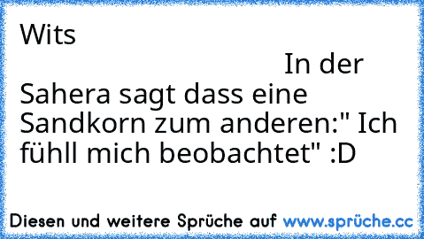 Wits                                                                                 In der Sahera sagt dass eine Sandkorn zum anderen:
" Ich fühll mich beobachtet" :D