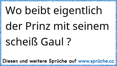 Wo beibt eigentlich der Prinz mit seinem scheiß Gaul ?