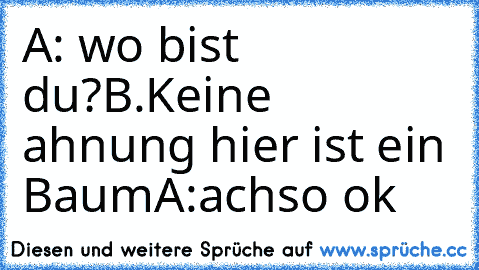 A: wo bist du?
B.Keine ahnung hier ist ein Baum
A:achso ok