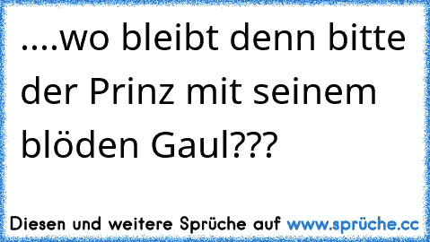 ....wo bleibt denn bitte der Prinz mit seinem blöden Gaul???