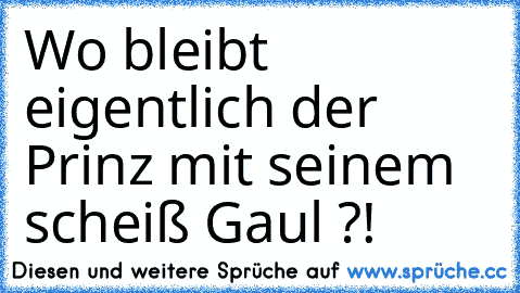 Wo bleibt eigentlich der Prinz mit seinem scheiß Gaul ?! ♥