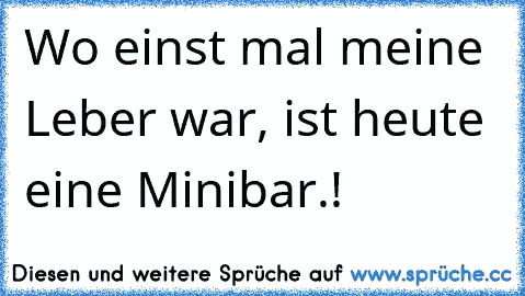 Wo einst mal meine Leber war, ist heute eine Minibar.!