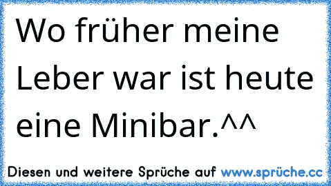 Wo früher meine Leber war ist heute eine Minibar.^^