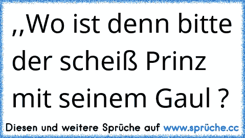 ,,Wo ist denn bitte der scheiß Prinz mit seinem Gaul ?