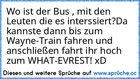 Wo ist der Bus , mit den Leuten die es interssiert?
Da kannste dann bis zum Wayne-Train fahren und anschließen fahrt ihr hoch zum WHAT-EVREST! xD