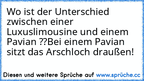 Wo ist der Unterschied zwischen einer Luxuslimousine und einem Pavian ??
Bei einem Pavian sitzt das Arschloch draußen!