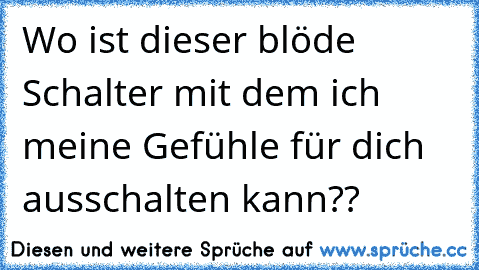 Wo ist dieser blöde Schalter mit dem ich meine Gefühle für dich ausschalten kann??