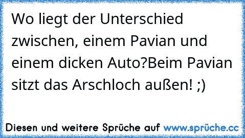 Wo liegt der Unterschied zwischen, einem Pavian und einem dicken Auto?
Beim Pavian sitzt das Arschloch außen! ;)