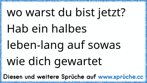 wo warst du bist jetzt? Hab ein halbes leben-lang auf sowas wie dich gewartet ☆