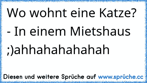 Wo wohnt eine Katze? - In einem Mietshaus ;)
ahhahahahahah