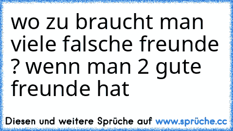 wo zu braucht man viele falsche freunde ? wenn man 2 gute freunde hat