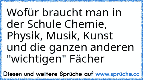 Wofür braucht man in der Schule Chemie, Physik, Musik, Kunst und die ganzen anderen "wichtigen" Fächer