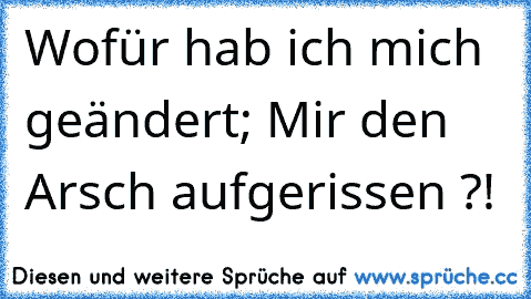 Wofür hab ich mich geändert; Mir den Arsch aufgerissen ?!