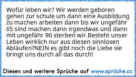 Wofür leben wir? 
Wir werden geboren gehen zur schule um dann eine Ausbildung zu machen arbeiten dann bis wir ungefähr 65 sind machen dann irgendwas und dann mit ungefähr 90 sterben wir.
Besteht unser Leben wirklich nur aus diesen sinnlosen Abläufen?
NEIN es gibt noch die Liebe sie bringt uns durch all das durch!