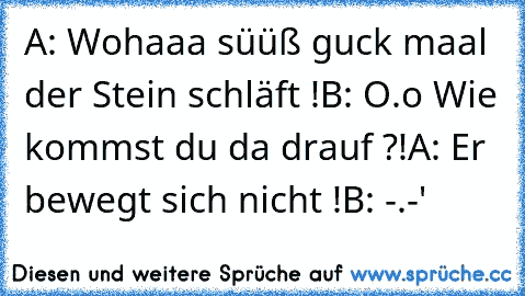 A: Wohaaa süüß guck maal der Stein schläft !
B: O.o Wie kommst du da drauf ?!
A: Er bewegt sich nicht !
B: -.-'