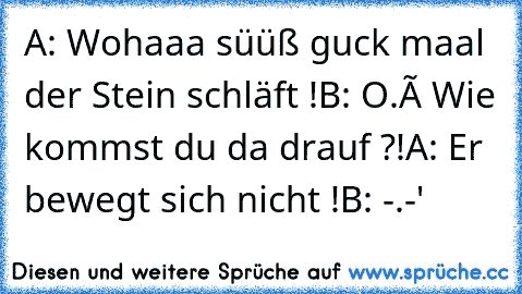 A: Wohaaa süüß guck maal der Stein schläft !
B: O.ô Wie kommst du da drauf ?!
A: Er bewegt sich nicht !
B: -.-'