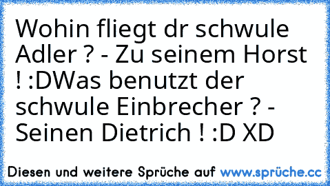 Wohin fliegt dr schwule Adler ? - Zu seinem Horst ! :D
Was benutzt der schwule Einbrecher ? - Seinen Dietrich ! :D XD