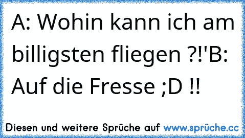 A: Wohin kann ich am billigsten fliegen ?!'
B: Auf die Fresse ;D !!