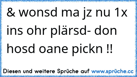 & wonsd ma jz nu 1x ins ohr plärsd- don hosd oane pickn !!